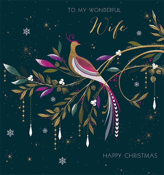 Wonderful Wife Songbird Christmas Card By Sara Miller