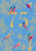 75th Birthday Card By Sara Miller London
