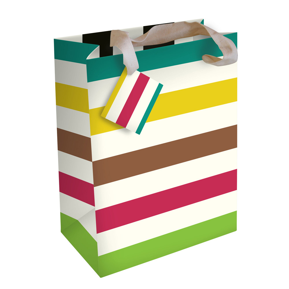 Colourful Stripe Gift Bag by Caroline Gardner - Vibrant Home