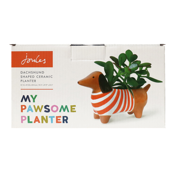 Dachshund Dog Ceramic Plant Pot By Joules