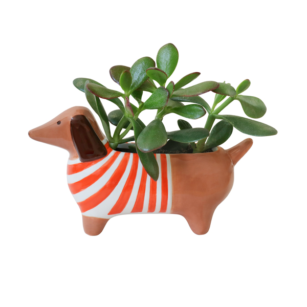 Dachshund Dog Ceramic Plant Pot By Joules