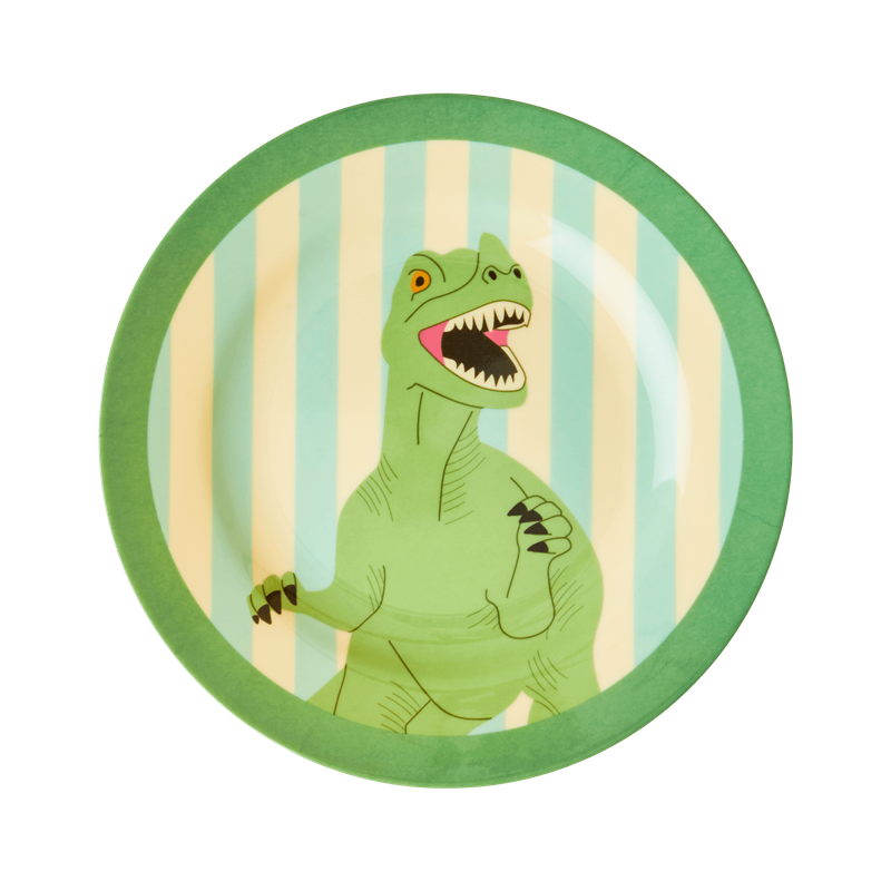 Dinosaur & Stripe Print Melamine Kids Plate by Rice DK