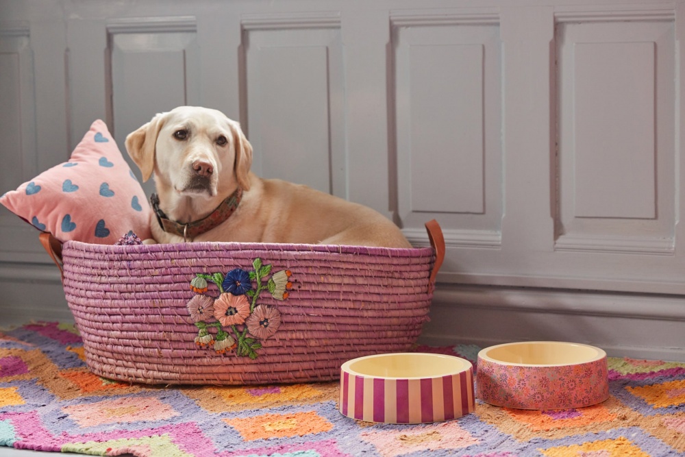 Pink Floral Heart Print Melamine Dog Food or Water Bowl By Rice