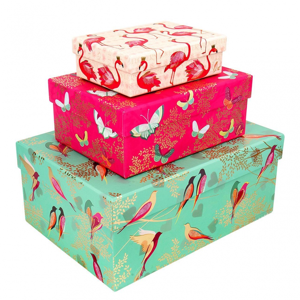 Files & Storage from Joules and Sara Miller - Vibrant Home