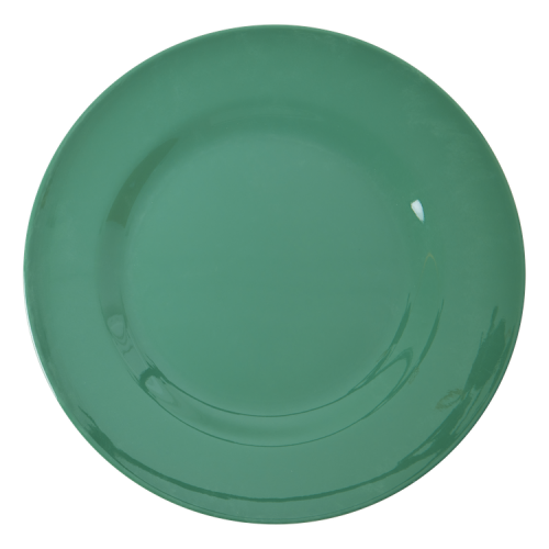 Green Melamine Dinner Plate By Rice