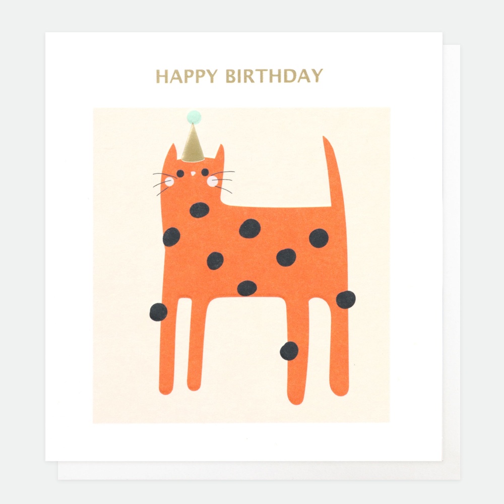 Happy Birthday Cat Card By Caroline Gardner