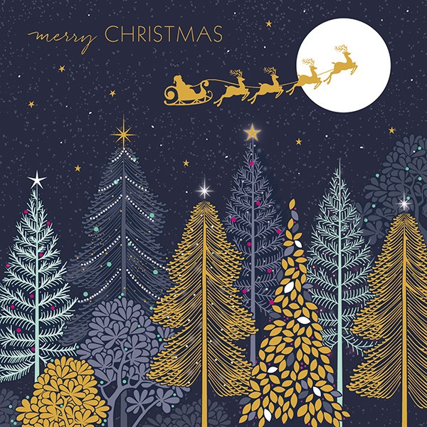 Sleigh Over Forest Luxury Christmas Cards Box of 8 By Sara Miller