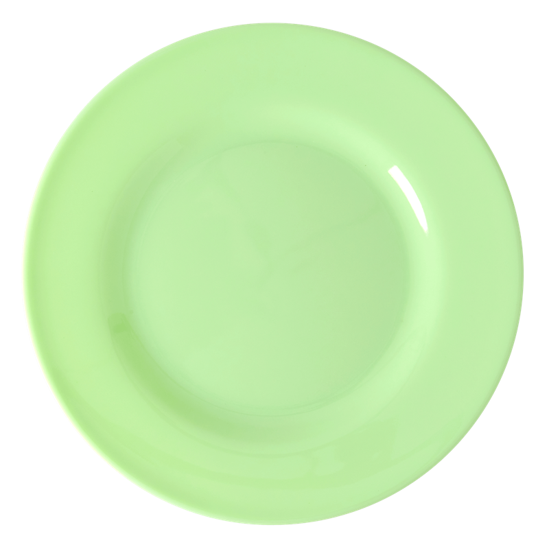 Neon Green Melamine Dinner Plate Rice DK