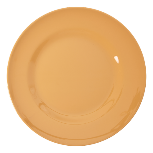 Dusty Peach Melamine Dinner Plate By Rice