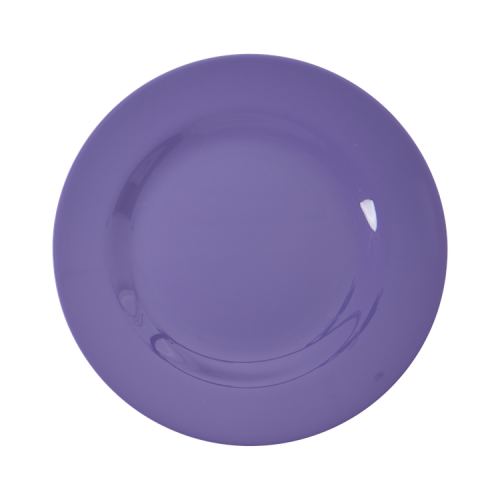 Purple Melamine Side Plate By Rice