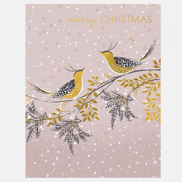 Snow Birds Trio Christmas Card Collection By Sara Miller