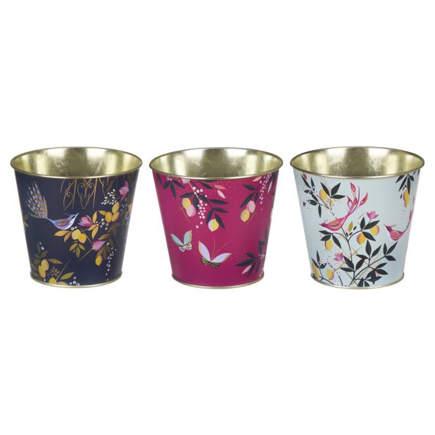 Orchard Print Set of 3 Plant Pots By Sara Miller London