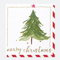 Christmas Trees Christmas Cards Pack of 8 By Caroline Gardner