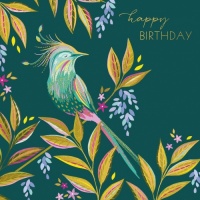 Colourful Tropical Bird Birthday Card By Sara Miller London