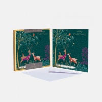 Deer and Robin Print Luxury Christmas Cards Box of 8 By Sara Miller