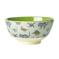 New Dinosaur Print Melamine Bowl Rice DK