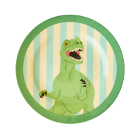 Dinosaur & Stripe Print Melamine Kids Plate by Rice DK