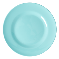 Ice Blue Melamine Dinner Plate Rice DK