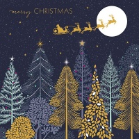 Sleigh Over Forest Luxury Christmas Cards Box of 8 By Sara Miller