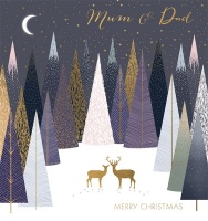 Mum and Dad Merry Christmas Card By Sara Miller