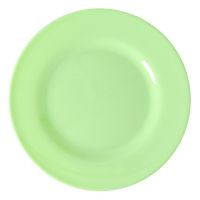Neon Green Melamine Dinner Plate Rice DK