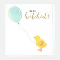 New Baby Card From Caroline Gardner