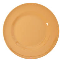 Dusty Peach Melamine Dinner Plate By Rice