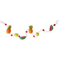 Raffia Fruit Garland By Rice DK