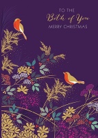 To The Both Of You Christmas Robins Card By Sara Miller