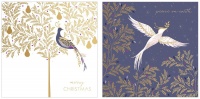 Dove and Partridge Print Christmas Cards Set of 10 By Sara Miller