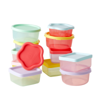 Set of 12 Bright Colourful Small Plastic Storage Boxes Rice DK