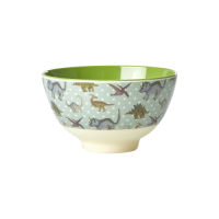 New Dinosaur Print Small Melamine Bowl Rice DK