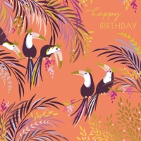 Toucan Birthday Card By Sara Miller London