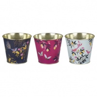 Orchard Print Set of 3 Plant Pots By Sara Miller London